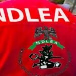 NDLEA Smashes Global Syndicate, Intercepts Cocaine Hidden in Stockfish for India