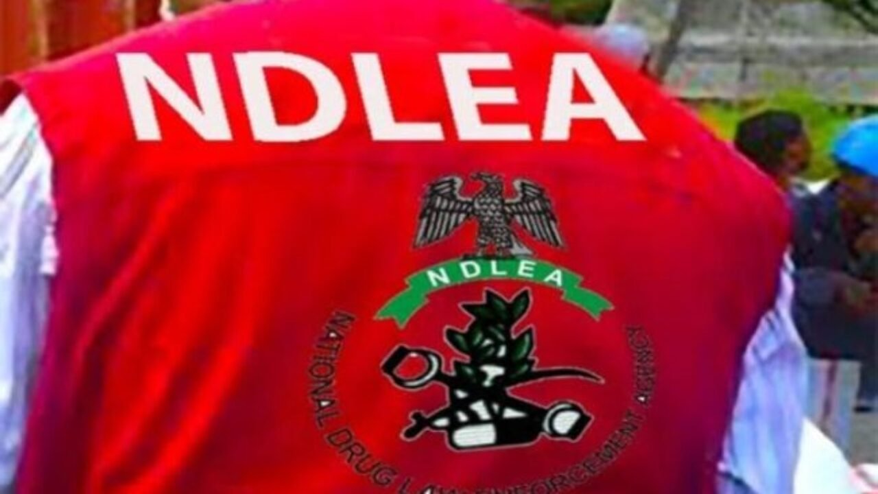 NDLEA Smashes Global Syndicate, Intercepts Cocaine Hidden in Stockfish for India