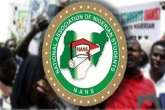 NANS Zone E Condemns “Unprofessional” Jilli Market Strike; Claims Death Toll Could Reach 200