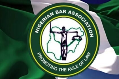 NBA President Raises Alarm Over ‘Judicial Interference’ in Party Affairs Ahead of 2027