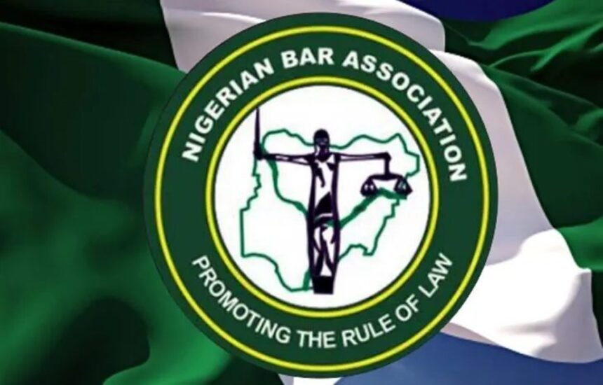 NBA President Raises Alarm Over ‘Judicial Interference’ in Party Affairs Ahead of 2027