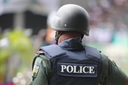 Ogun Police Arrest 38-Year-Old Father and Teenage Son Over Illegal Firearm Possession